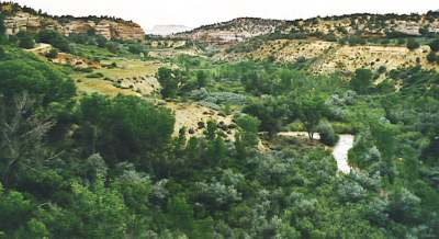 View into Kanab Canyon